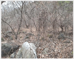  2023Ÿ2586  ʱ 굿 긮 29      ()