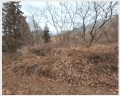  2023Ÿ2586  ʱ 굿 긮 29      ()