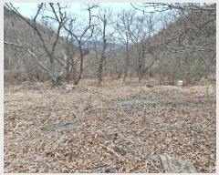  2023Ÿ2586  ʱ 굿 긮 29      ()