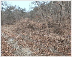  2023Ÿ2586  ʱ 굿 긮 29      ()