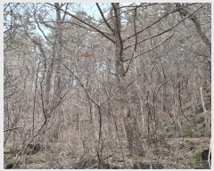  2023Ÿ2586  ʱ 굿 긮 29      ()