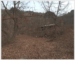  2023Ÿ2586  ʱ 굿 긮 29      ()