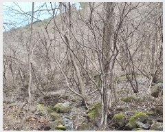  2023Ÿ2586  ʱ 굿 긮 29      ()