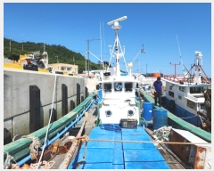  2023Ÿ��2906  ���ڰ��