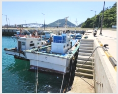  2023Ÿ��2906  ���ڰ��