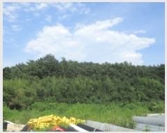  2023Ÿ��3268 ���� ��õ�� ��뵿 849-6       ����(�Ӿ�)���