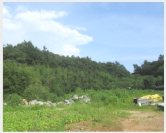  2023Ÿ��3268 ���� ��õ�� ��뵿 849-6       ����(�Ӿ�)���