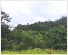  2023Ÿ��3268 ���� ��õ�� ��뵿 849-6       ����(�Ӿ�)���