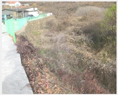  2023Ÿ58541  ʱ   287-2      ()