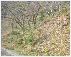  2023Ÿ58541  ʱ   287-2      ()