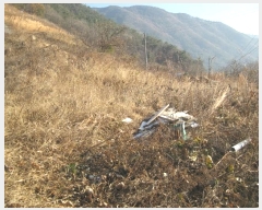  2023Ÿ58541  ʱ   287-2      ()