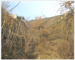  2023Ÿ58541  ʱ   287-2      ()