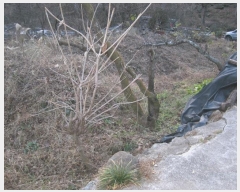  2023Ÿ58541  ʱ   287-2      ()