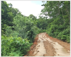  2023Ÿ��54587  �Ӿ߰��