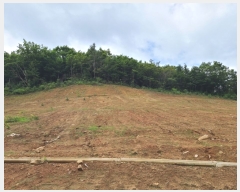  2023Ÿ��54587  �Ӿ߰��