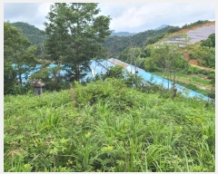  2023Ÿ��54587  �Ӿ߰��