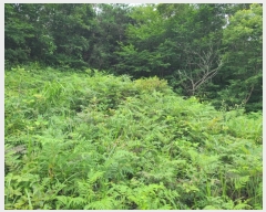  2023Ÿ��54587  �Ӿ߰��