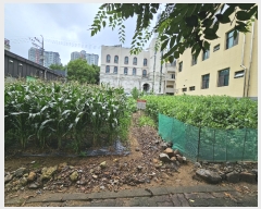  2023Ÿ��55313  �������