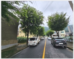  2023Ÿ��55313  �������