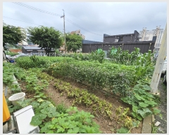  2023Ÿ��55313  �������