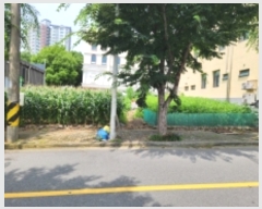  2023Ÿ��55313  �������