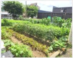  2023Ÿ��55313  �������