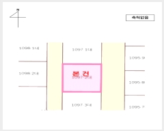  2023Ÿ��55313  �������