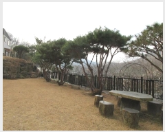  2023Ÿ��60360 ���� ���ʱ� ������ ��긮 1459-2      ����(��1)���