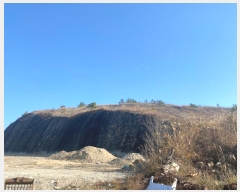  2023Ÿ��1975  ���ð��