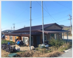  2023Ÿ��1975  ���ð��