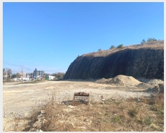  2023Ÿ��1975  ���ð��