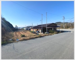  2023Ÿ��1975  ���ð��