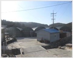  2023Ÿ��1876  �������