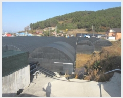  2023Ÿ��1876  �������