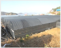  2023Ÿ��1876  �������