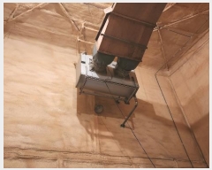  2023Ÿ��52041 ���� �س��� Ȳ��� ������ 1718      ������