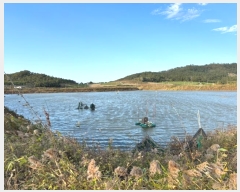  2023Ÿ54795  س ȭ ȭ 513-3      Ÿ