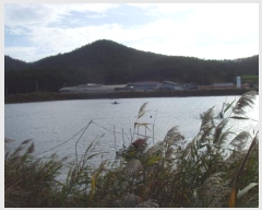  2023Ÿ54795  س ȭ ȭ 513-3      Ÿ