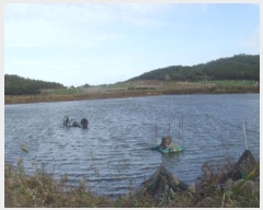  2023Ÿ54795  س ȭ ȭ 513-3      Ÿ