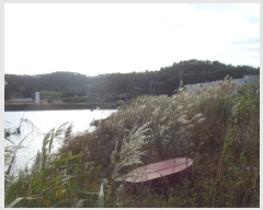  2023Ÿ54795  س ȭ ȭ 513-3      Ÿ