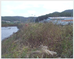  2023Ÿ54795  س ȭ ȭ 513-3      Ÿ