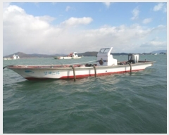  2023Ÿ55101 () ϵ ȭ        ڰ