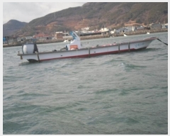  2023Ÿ55101 () ϵ ȭ        ڰ