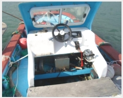  2023Ÿ55101 () ϵ ȭ        ڰ