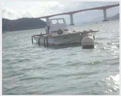  2023Ÿ55101 () ϵ ȭ        ڰ