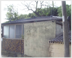  2023Ÿ��53983  �������