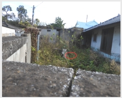  2023Ÿ��38460  �����