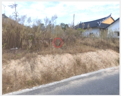  2023Ÿ��38460  �����