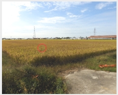  2023Ÿ��38460  �����