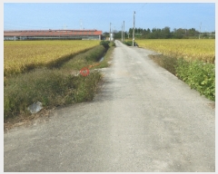  2023Ÿ��38460  �����